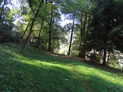 34 Piccola radura prativa